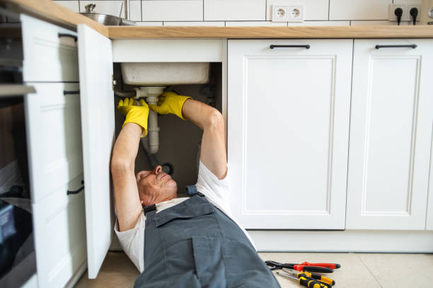 Best Toilet Repair Services  in Westchester, IL
